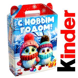 Детский подарок на Новый Год в жестяной упаковке весом 830 грамм по цене 3297 руб в Рудне